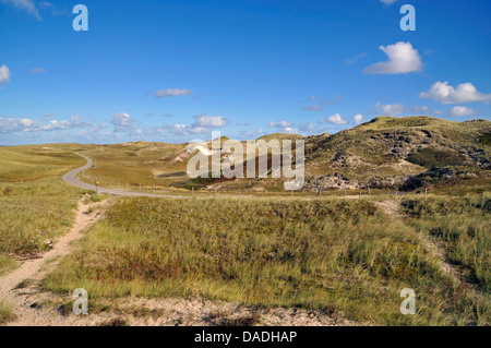 Percorso escursionistico nelle dune di Julianadorp aan Zee, Paesi Bassi Paesi Bassi del Nord Foto Stock