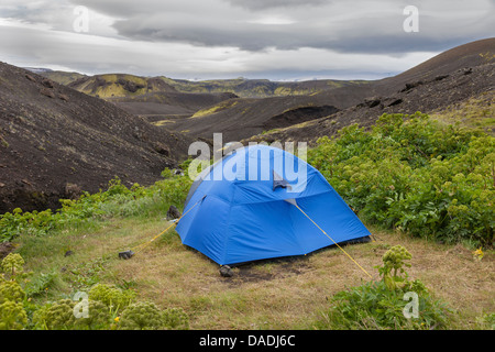 Camping al di sotto del rifugio Botnar nell'Area Emstrur sul Laugavegur Sentiero escursionistico tra Landmanannalaugar e Thorsmork Islanda Foto Stock