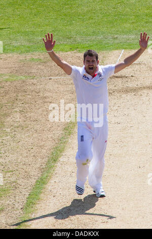 Nottingham, Regno Unito. 11 Luglio, 2013. L'Inghilterra del James Anderson lancia un appello per un paletto durante il giorno due del primo Investec Ceneri Test match a Trent Bridge Cricket Ground sulla luglio 11, 2013 a Nottingham, Inghilterra. Credito: Mitchell Gunn/ESPA/Alamy Live News Foto Stock