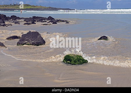 Spiaggia di Tortuga Bay, Ecuador Isole Galapagos, Santa Cruz Foto Stock