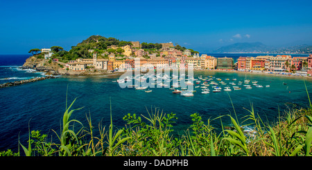 Idilliaco porto di Sestri Levante, in Italia, la Liguria Cinque Terre , Sestri Levante Foto Stock