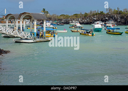 Fasi di sbarco nel porto di Puerto Ayora, Ecuador Isole Galapagos, Santa Cruz Foto Stock