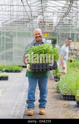 Uomo maturo azienda impianti in centro giardino, ritratto Foto Stock