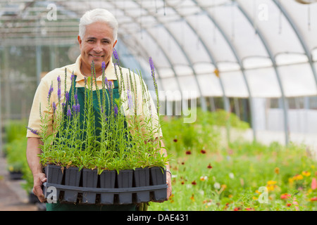 Senior uomo con piante in centro giardino, ritratto Foto Stock