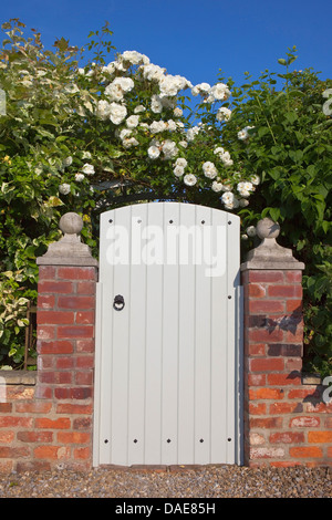 Un bianco cancello di legno insieme in un mattone il muro del giardino di rose bianche e arbusti sotto un cielo blu Foto Stock