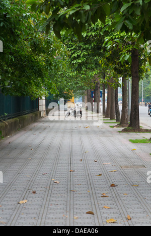 Il boulevard alberato di Hanoi, Vietnam Foto Stock