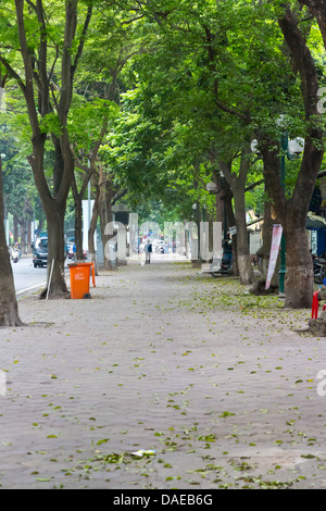 Il boulevard alberato di Hanoi, Vietnam Foto Stock