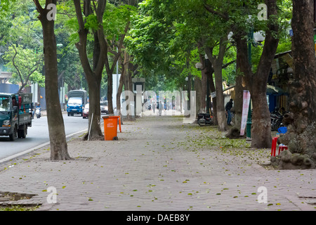 Il boulevard alberato di Hanoi, Vietnam Foto Stock