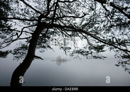 Eibsee nella nebbia, in Germania, in Baviera, Alta Baviera, Baviera superiore Foto Stock