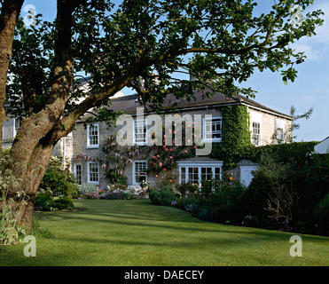 Grande albero sul prato nel giardino sul retro della casa di campagna georgiana con il rosa rose rampicanti e malva wisteria sulle pareti Foto Stock