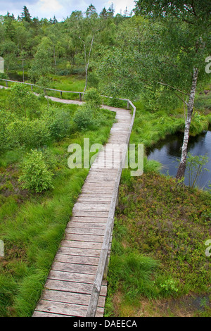 Sollevate bog con planked sentiero, Germania, Bassa Sassonia, Mecklenbruch GFN, Solling Foto Stock