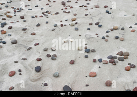 Pebble pietre sulla spiaggia sabbiosa, Polonia Foto Stock