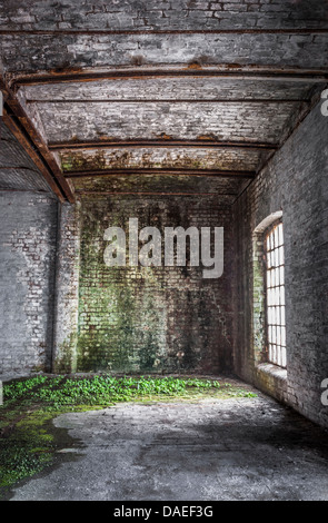 All'interno di un vecchio magazzino di mattoni con luce proveniente attraverso la finestra rendendo lo sfondo ideale per un spooky dungeon. Foto Stock