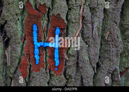 Lettera marcatura su un albero, Germania Foto Stock
