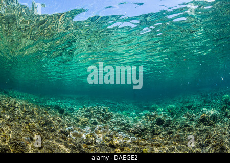 Visualizza in alto verso la superficie con corallo riflessioni sulle onde della Kapoho pozze di marea, nei pressi di Hilo, Big Island, Hawaii, STATI UNITI D'AMERICA Foto Stock