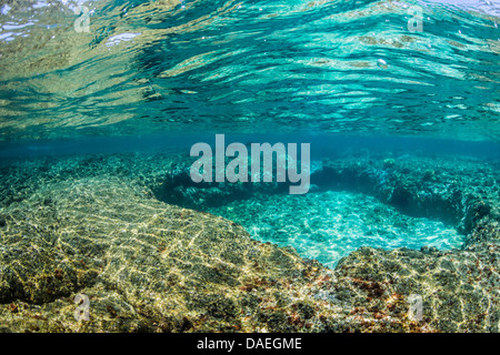 Visualizza in alto verso la superficie con corallo riflessioni sulle onde della Kapoho pozze di marea a sud di Hilo, Big Island, Hawaii, STATI UNITI D'AMERICA Foto Stock