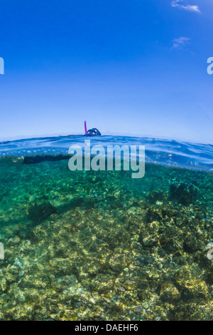 Lo snorkeling in Kapoho pozze di marea (Wai'OPAE Tidepools vita marina conservazione distretto), a sud di Hilo, Hawaii, STATI UNITI D'AMERICA Foto Stock