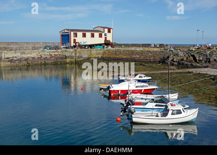 St. Abbs Harbour in confini Scozzesi Scozia Scotland Foto Stock
