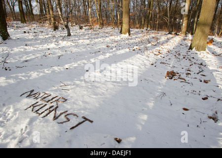 La scrittura di 'Naturkunst - arte natura' nella neve, Germania Foto Stock