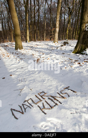 La scrittura di 'Naturkunst - arte natura' nella neve, Germania Foto Stock