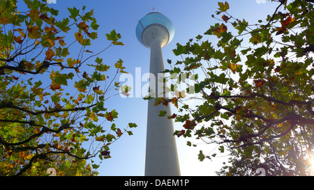 Rheinturm, torre di comunicazione di Dusseldorf, in Germania, in Renania settentrionale-Vestfalia, Duesseldorf Foto Stock