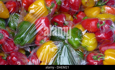 Multicolore di peperoni sotto la pellicola trasparente Foto Stock