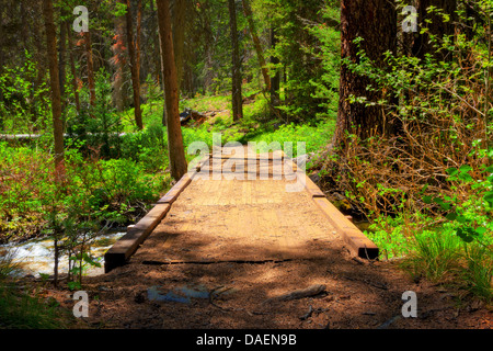 Legno rustico listone ponte che conduce attraverso piccolo ruscello sulla riva sud del lago dello scorfano a Stanley, Idaho Foto Stock