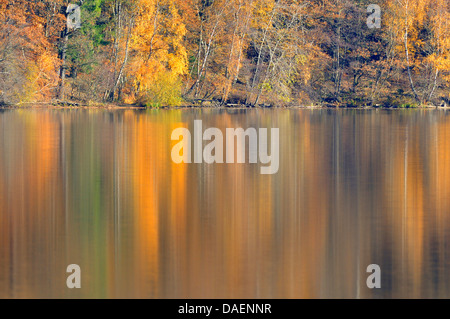 Bosco in autunno di colori a un lago, Germania Foto Stock