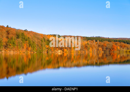 Cielo blu in un bosco misto in autunno di colori a un lago, Germania Foto Stock