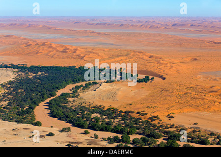Deserto del Namib in Namibia, Namibia, Namib Naukluft National Park, Sossusvlei, Swakomund Foto Stock
