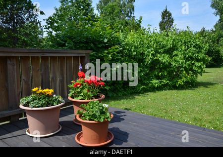 La decorazione dei vasi da fiori in un giardino verde Foto Stock