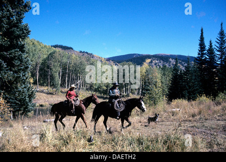 Donna uomo e cane sul sentiero nelle montagne rocciose Foto Stock