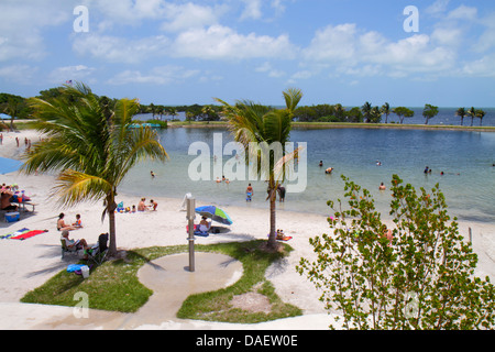 Miami Florida,Homestead,Homestead Bayfront Park,Biscayne Bay,solarium,famiglie,palme,spiaggia,sabbia,FL130518127 Foto Stock