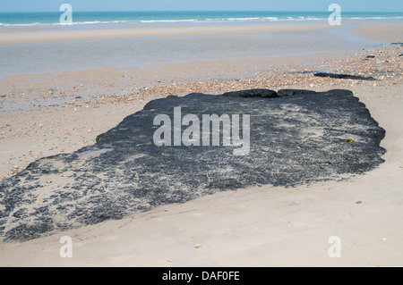 Affioramenti di ciò che appare essere lignite lungo la spiaggia a Wissant nel nord della Francia Foto Stock