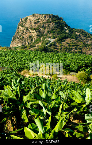 Türkei, Provinz Antalya, Gazipasa, Antiochia ad Cragum Foto Stock