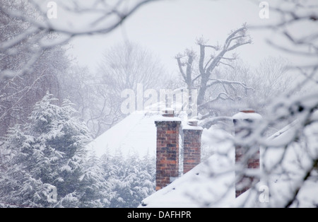 Coperta di neve sui tetti e sugli alberi. Foto Stock