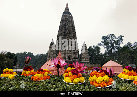 Tempio di Mahabodhi. Bodhgaya,, Bihar, in India Foto Stock