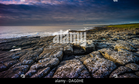 Il Northumberland rocciosa costa poco dopo l'alba. Foto Stock