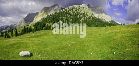 Hohe Gaisl Gruppo, Italia, Sued Tirol, Dolomiten , Fanes-Sennes-Braies Parco naturale Foto Stock