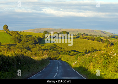 Strada di campagna attraverso un paesaggio collinare con la strada che porta al villaggio di Maenclochog, Preseli hils, , ., Regno Unito, Galles Pembrokeshire Foto Stock