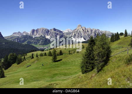 Vista da Pralongia a del gruppo Puez con Cir, Sass da Ciampac e il Sass Songher, Italia, Dolomiti Foto Stock