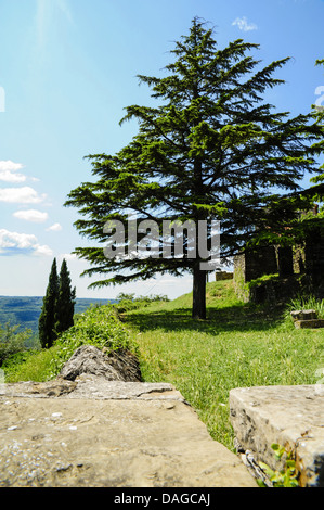 Istria, Croazia, Groznjan Foto Stock