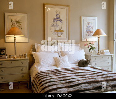 Coppia di lampade sui comodini su entrambi i lati del letto matrimoniale in camera  da letto moderna Foto stock - Alamy