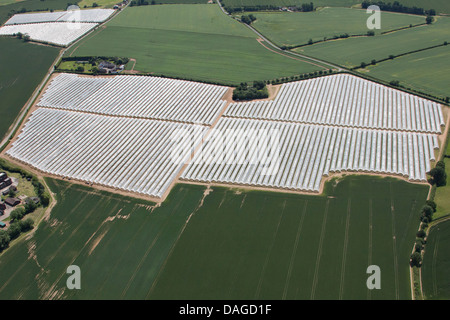 Vista aerea del POLYTUNNELS COMMERCIALE IN CAMPAGNA Foto Stock