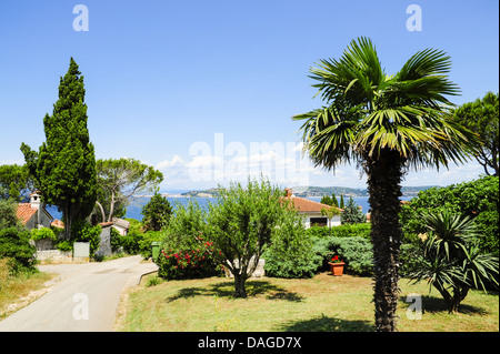 Istria, Croazia, Katoro, Umago Foto Stock