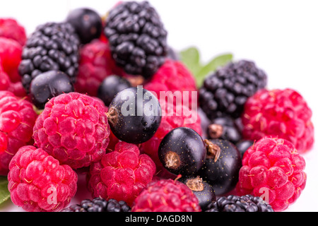 Frutti di bosco freschi: lamponi, ribes nero, gelsi isolato su bianco Foto Stock