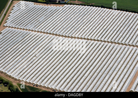 Vista aerea del POLYTUNNELS COMMERCIALE IN CAMPAGNA Foto Stock