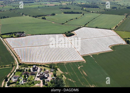 Vista aerea del POLYTUNNELS COMMERCIALE IN CAMPAGNA Foto Stock