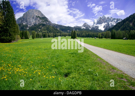 Sarlkofel (sinistra) e gruppo Duerrenstein (a destra), l'Italia, Alto Adige, Dolomiti Foto Stock