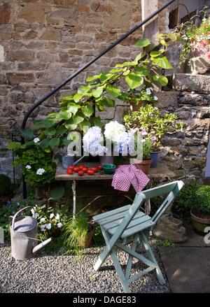 Sedia verniciata e vecchio metallo zincato annaffiatoio accanto al tavolo rustico con vaso di ortensie accanto a gradini in pietra del cottage Foto Stock